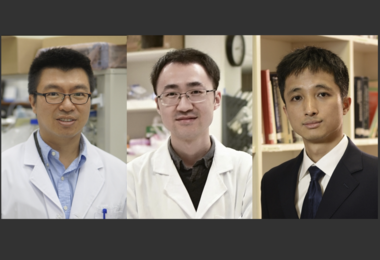 Three HKU academics receive Croucher Innovation and Senior Research Fellowship Awards