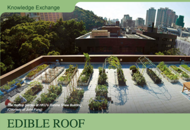 Edible Roof