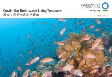 港大太古海洋科学研究所「珊瑚：我们的水底活宝藏」展览
