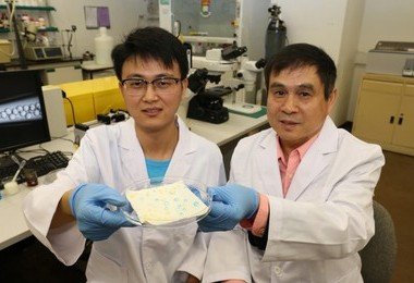 HKU research team develops economical new liquid-repellent material