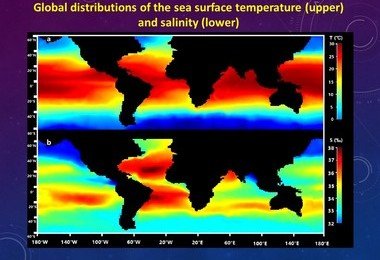 港大和中國科學家合作研發科學模型推算海洋不同水域的金屬毒性