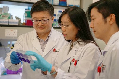 （左起）陈志伟教授与博士后研究员Ada LY Yim博士和Zhiwu Tan博士在实验室讨论他们的研究工作