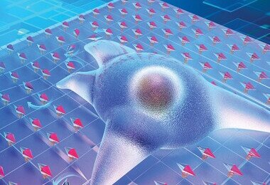 Breakthrough Technology to Measure Rotational Motion of Cells