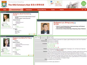 香港大學學術庫顯示學者資料的版頁