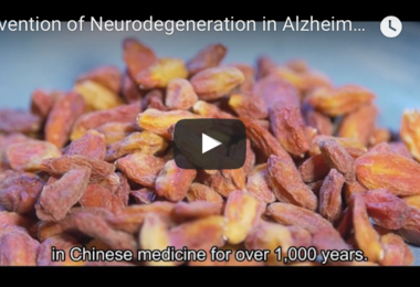 Prevention of Ageing-associated Neurodegeneration in Alzheimer’s Disease and Glaucoma with a Wolfberry Extract