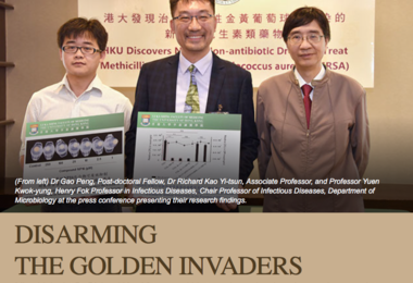 Disarming the Golden Invaders