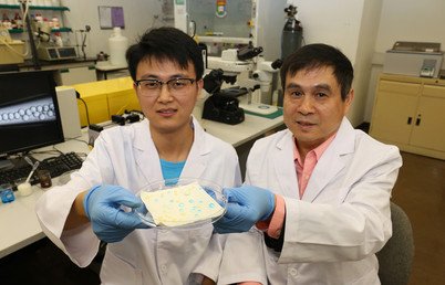 Professor Liqiu Wang (right) and Mr Pingan Zhu (left) showcase the liquid-repellent surface they innovated