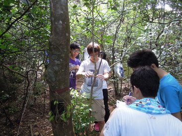 A team of secondary school students practicing tree survey in the ForestGEO plot under the supervision of the research team