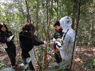 Citizen scientists in action: a group of volunteers conducting tree survey in the ForestGEO plot at Tai Po Kau