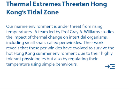 Thermal Extremes Threaten Hong Kong's Tidal Zone