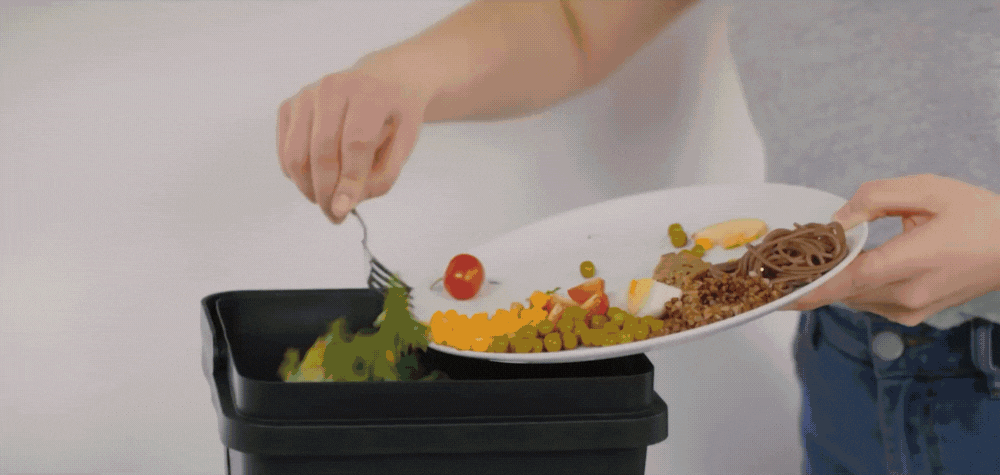 From Kitchen Scraps to Nutritional Asian Delights