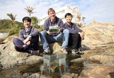 HKU study reveals Hong Kong hosts more than ¼ of all marine species recorded in China