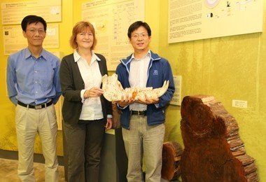 HKU Stephen Hui Geological Museum launches exhibition to showcase 65 million years of climate change