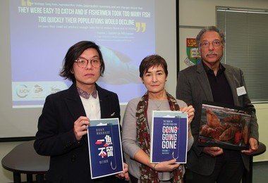 HKU marine biologist collaborative study revealed overfishing and illegal trade of live reef fish
