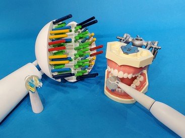 NJ Toothbrush model