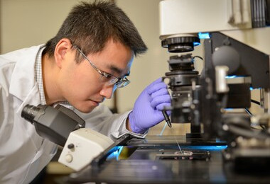 Pioneering Progresses in Micro and Medical Robotics