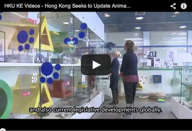 Hong Kong Seeks to Update Animal Welfare Laws to International Standards