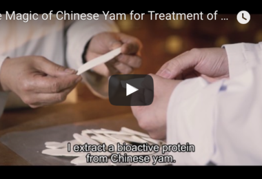The Magic of Chinese Yam for Treatment of Menopausal Syndrome