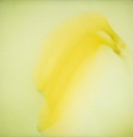 Hong Kong Art Archive内，祈大衛教授頁面上的照片。 - 祈大衛《香蕉》（2007），寶麗來即影即有照片的數碼打印